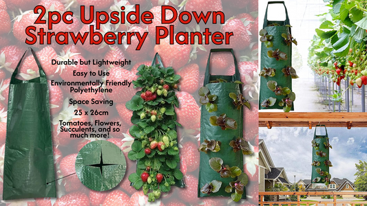 2pc Upside Down Strawberry Planter