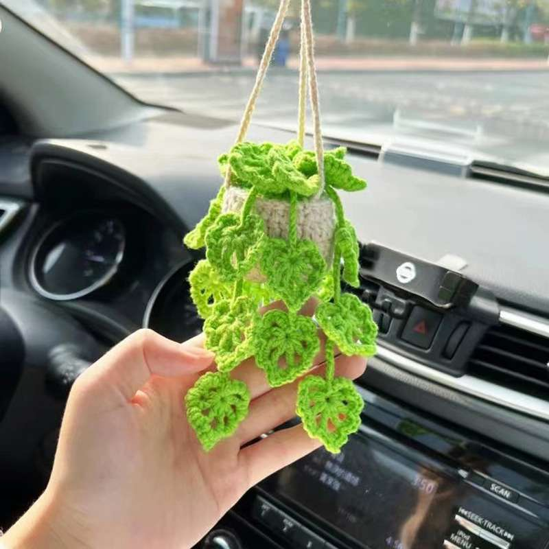 Boho Car Plants