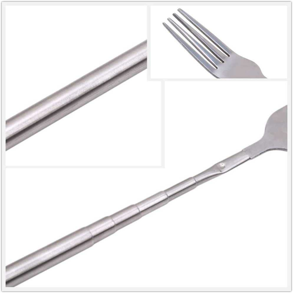 Telescopic Fork