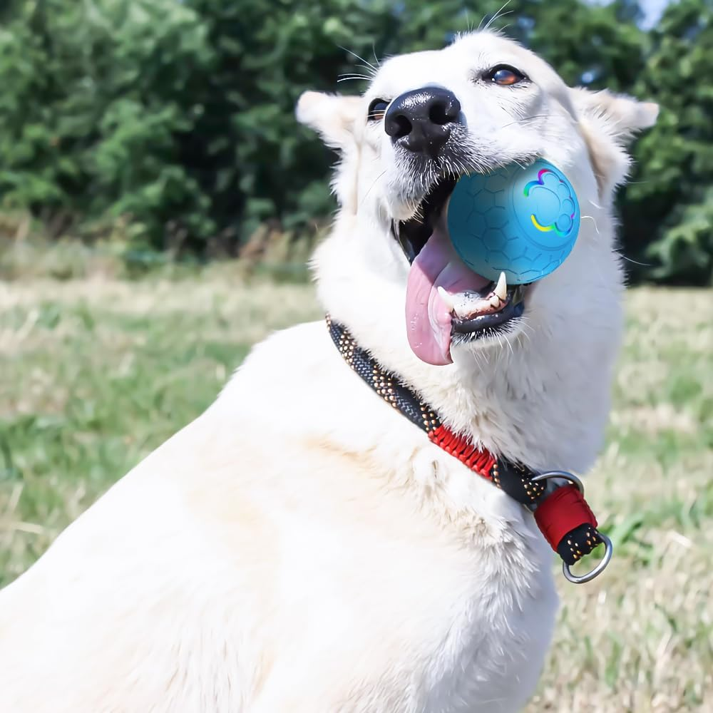 Smart Interactive Pet Toy Ball