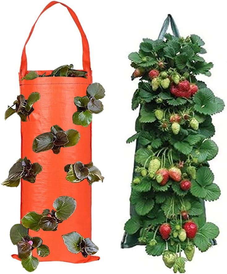 2pc Upside Down Strawberry Planter