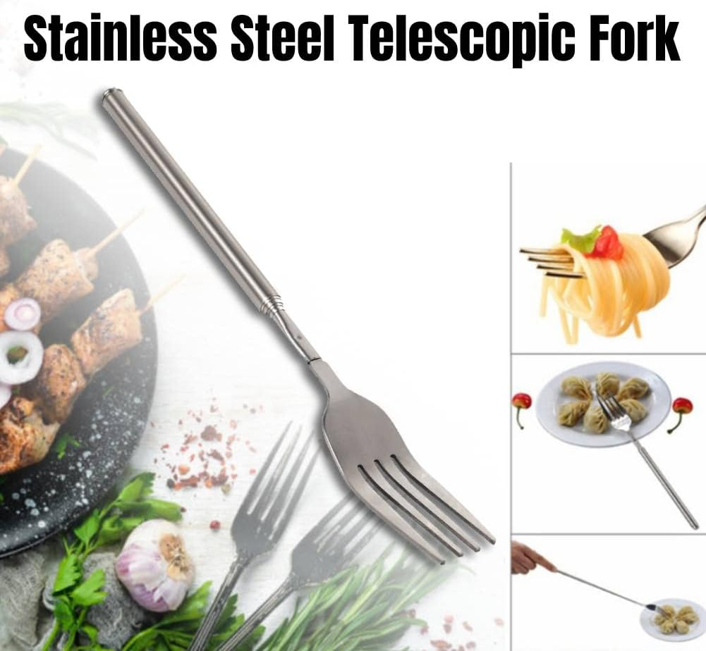 Telescopic Fork