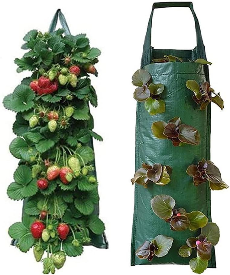 2pc Upside Down Strawberry Planter