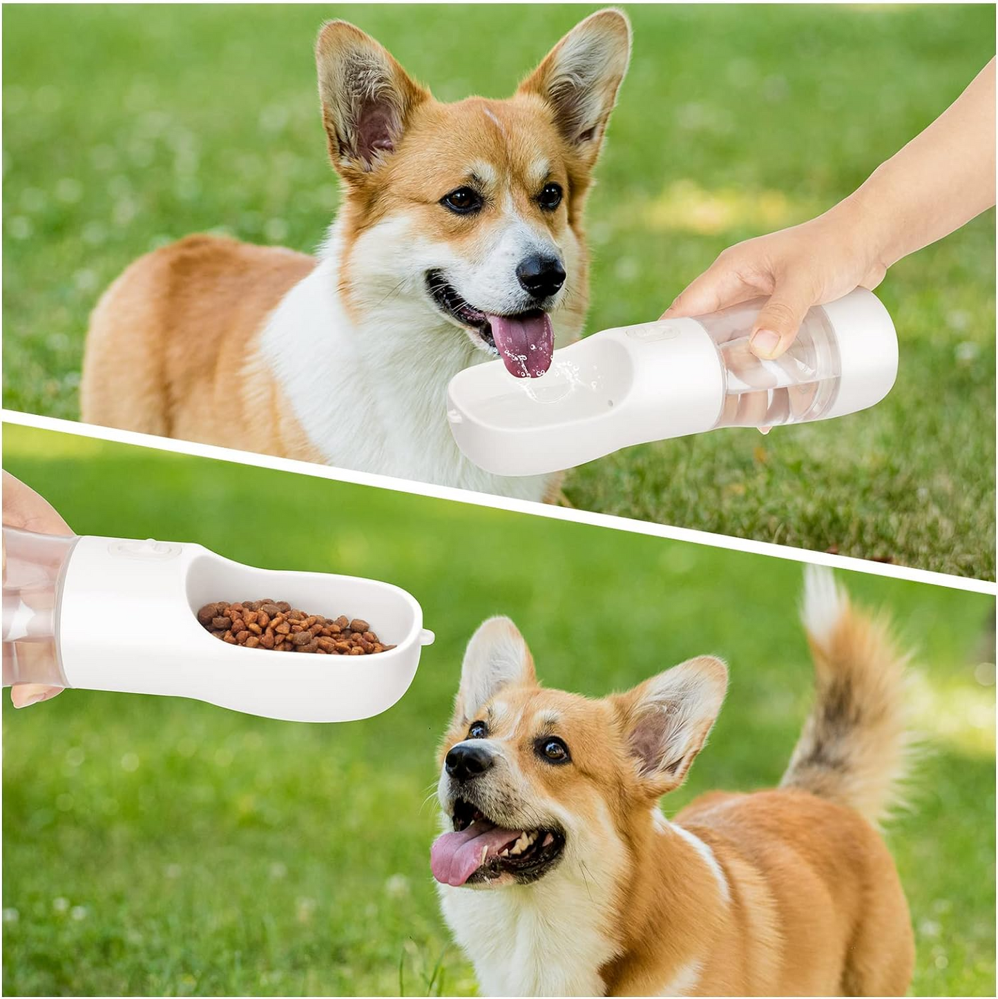 Portable Dog Water Bottle