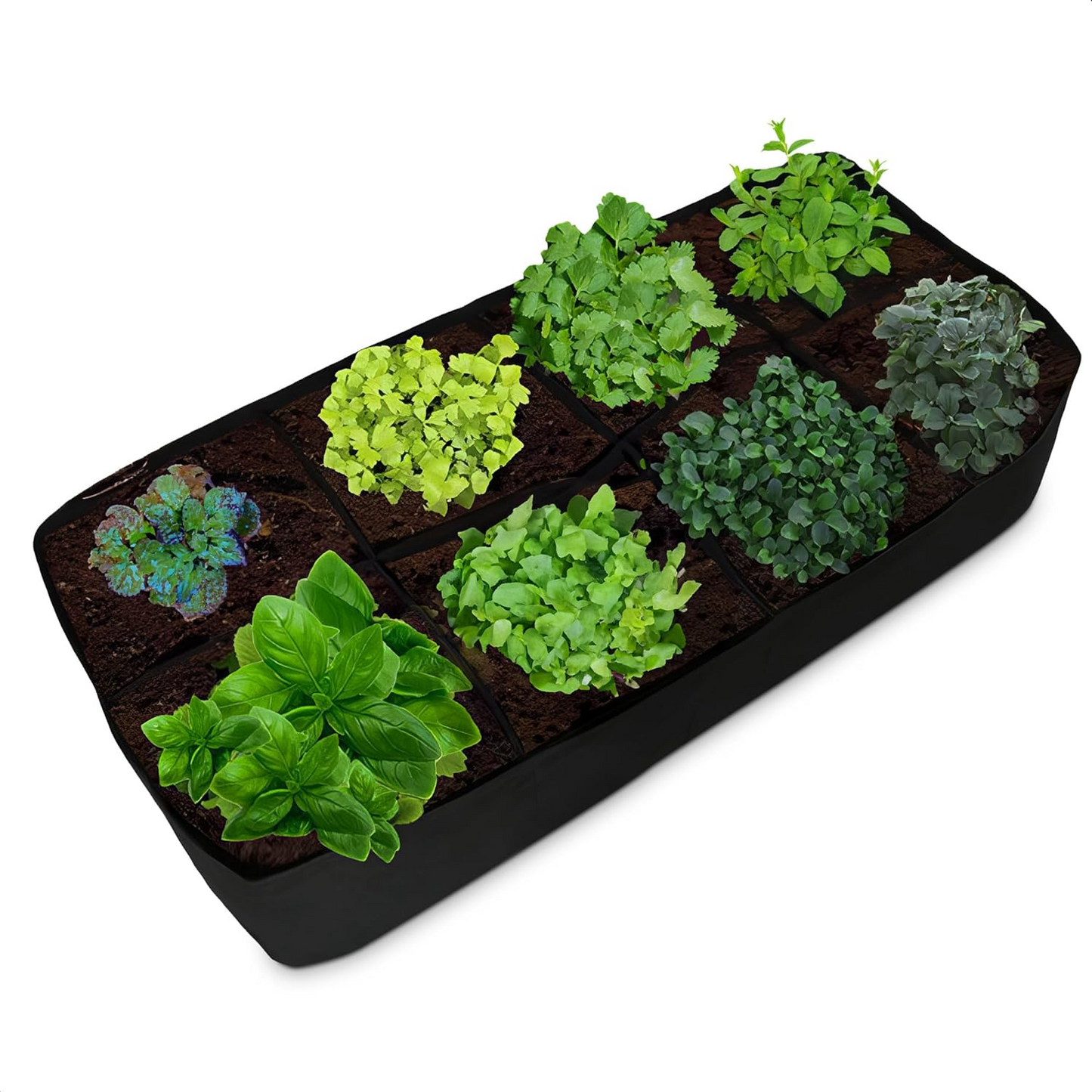 Rectangular Tray Grow Bags