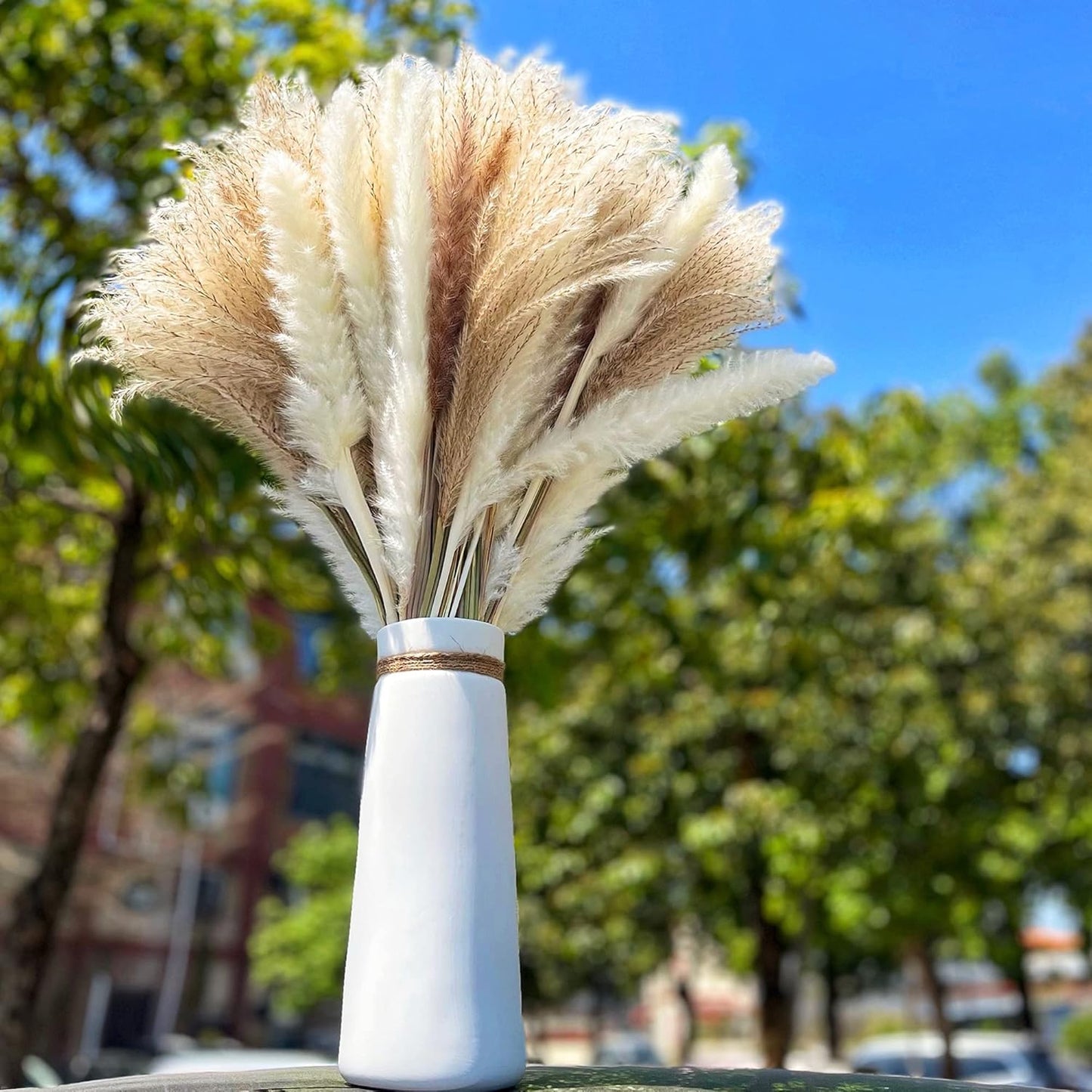 Large Pampas Grass Decor