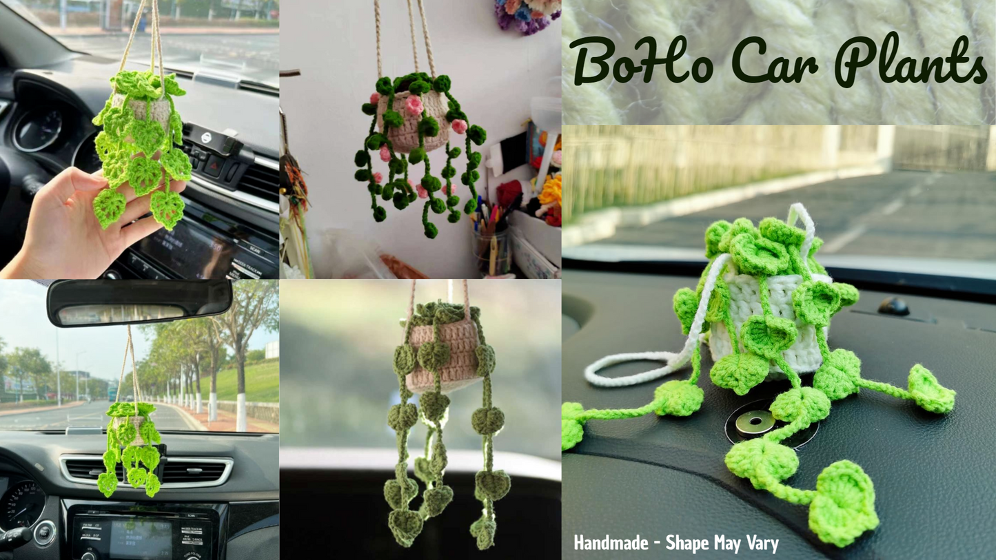 Boho Car Plants