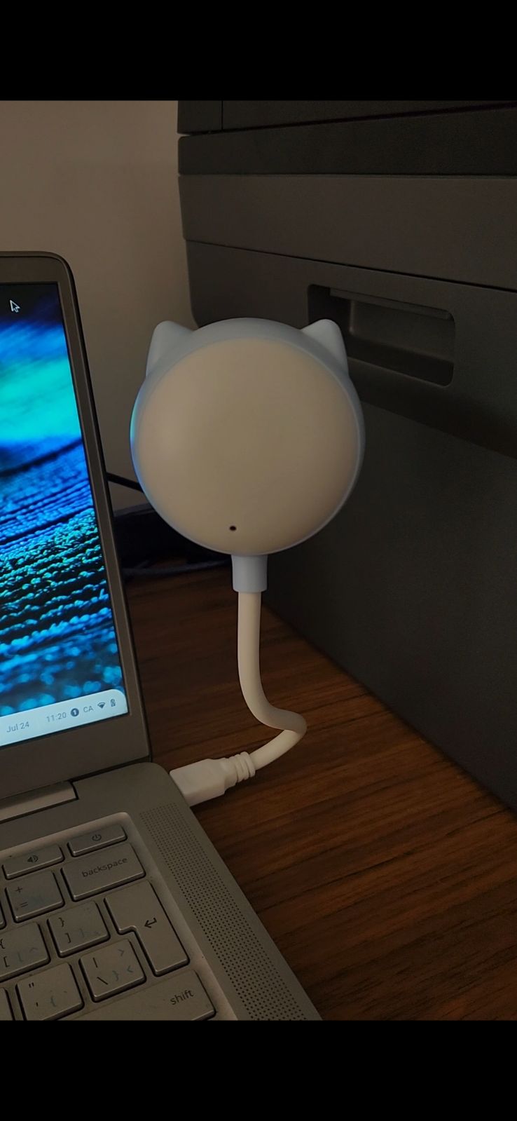 Cat USB Smart Light