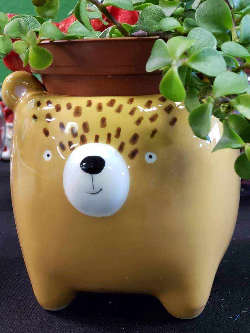 Woodland Ceramic Pots