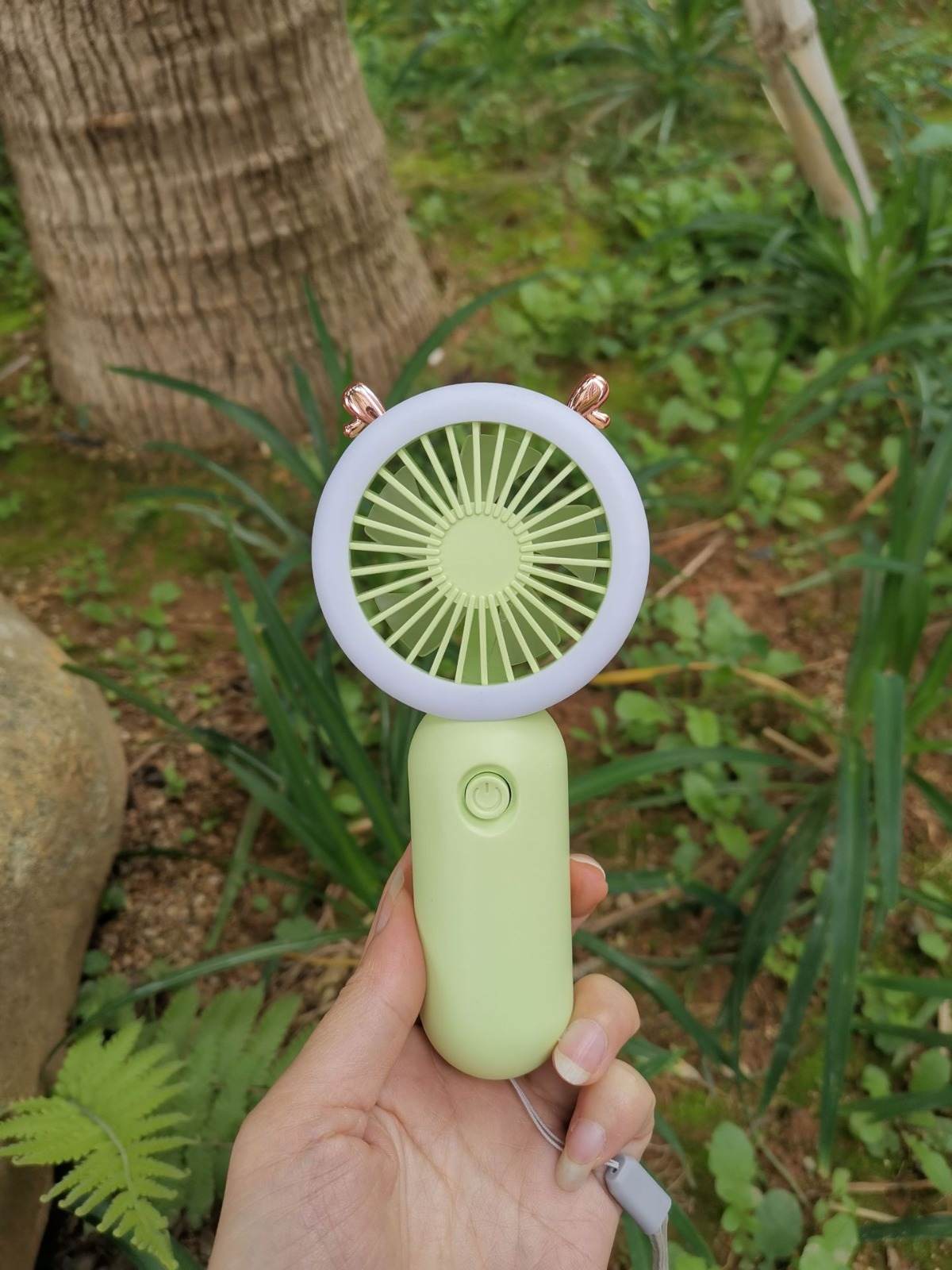 Light Up Fan