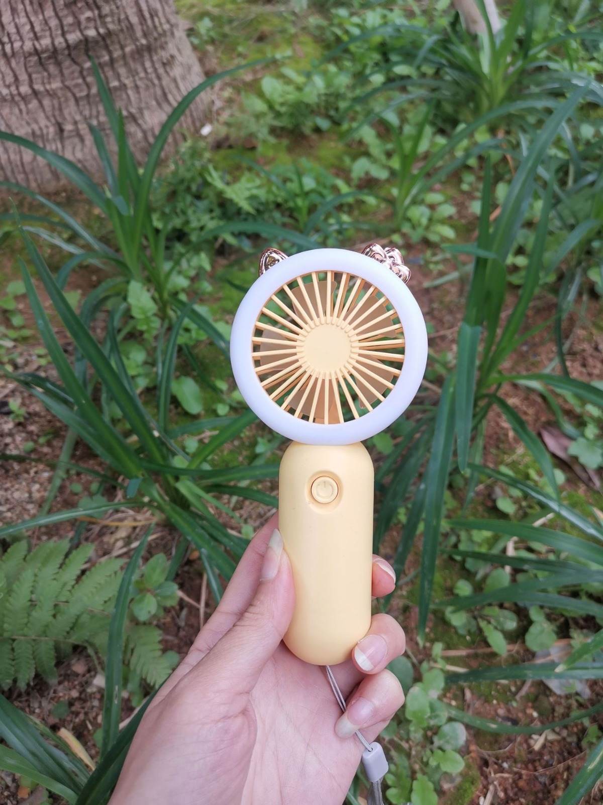 Light Up Fan